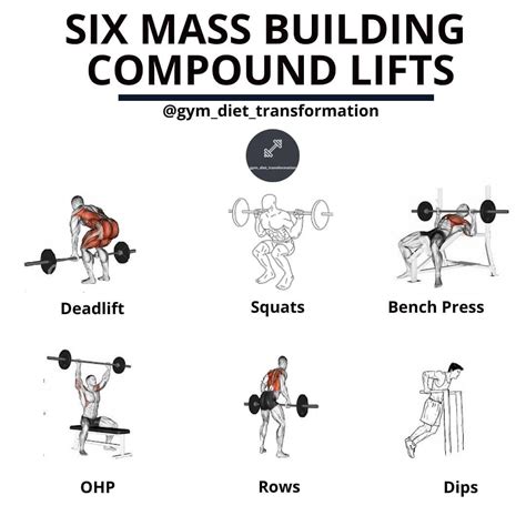 √ Compound Lifts Exercises