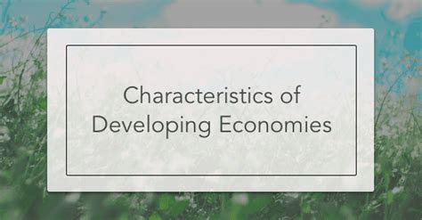 Characteristics Of Developing Economies | Intelligent Economist