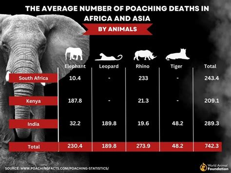 What Is Poaching? The Horrendous Crime Explained