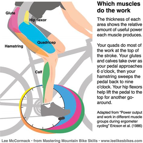 Darn those weak hip flexors - Lee Likes Bikes