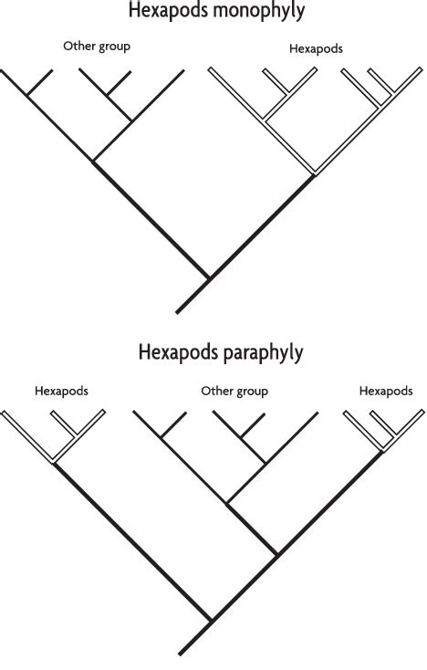 Monophyly and paraphyly of hexapods (arthropods with six legs ...