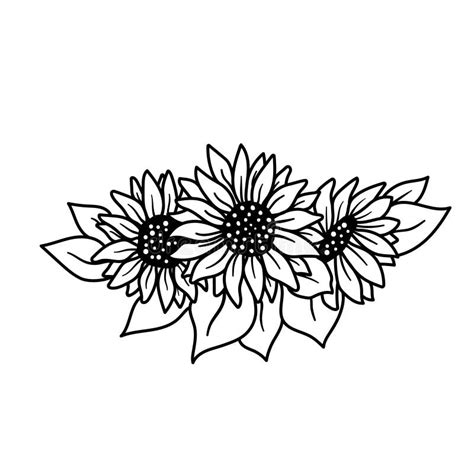 Sunflower Black And White Clipart