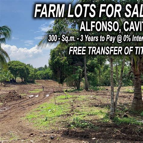 300 Sq.m. Farm Lot in Alfonso Cavite - Installment - Free Title [Lot 🚜 ...