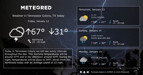 Tennessee Colony, TX Weather 14 days - Meteored