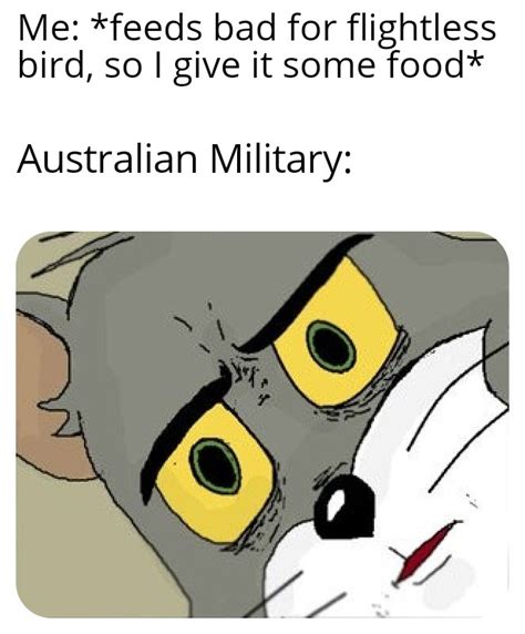 bird is the word : r/HistoryMemes