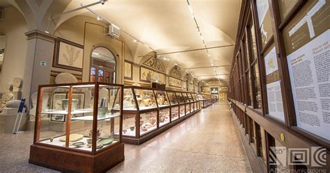 Museums in Bologna: a must-see heritage - Bologna Experience