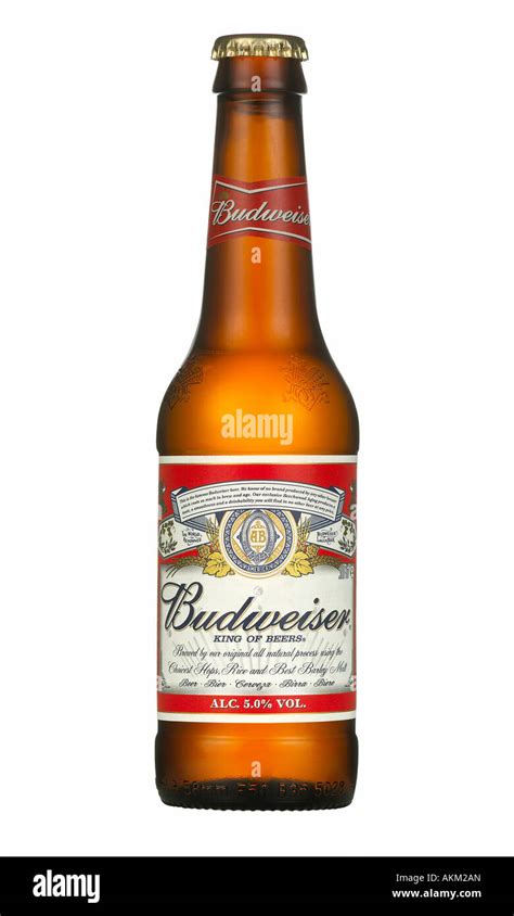 Budweiser Beer