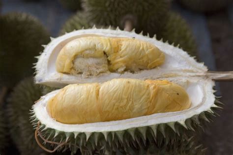 The Foul-Smelling Durian You Hate Will Soon Fast Charge Your Phone ...