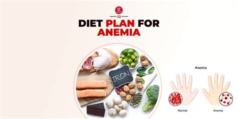 Diet Plan For Anemia: Nutrition And Foods To Manage Iron