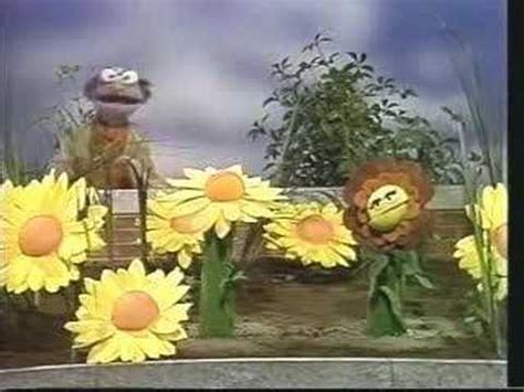 Classic Sesame Street - Competitive flowers - YouTube