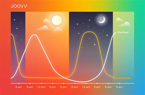 3 Core Circadian Rhythms for a Balanced Life – Joovv