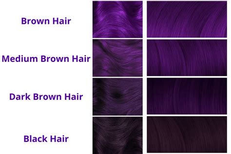 Deep Violet Hair, Dark Purple Hair Dye, Violet Hair Colors, Hair Color ...