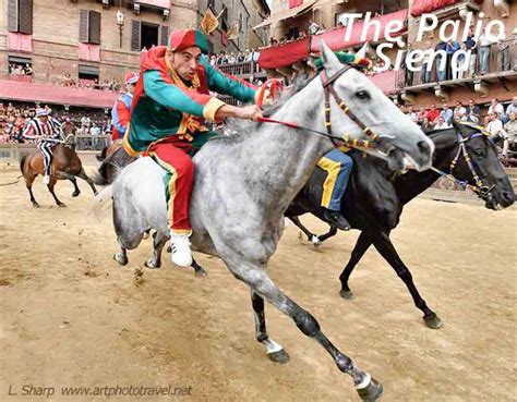 The Palio Horse Race Siena, Italy – artphototravel