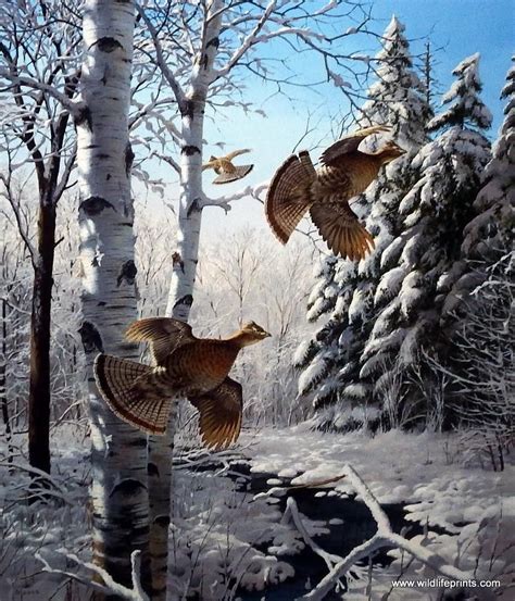 Artist David Maass Unframed Print Wonder Winter Wonder-Ruffed Grouse ...