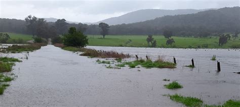 Financial support for flood-affected farmers - Gecko CLaN