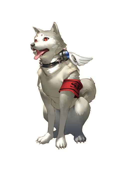 Koromaru - Shin Megami Tensei: PERSONA 3 - Image by Atlus #3893171 - Zerochan Anime Image Board