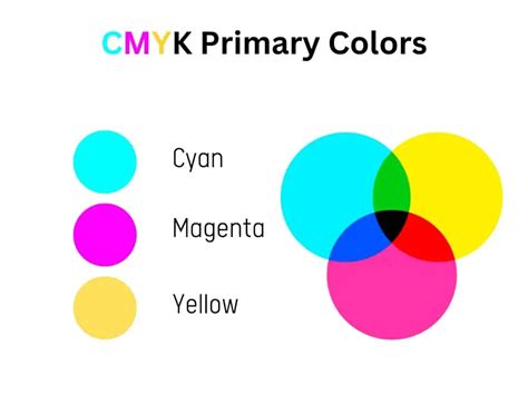 What Are Primary Colors: Definition, Examples, & More