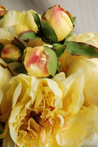 Peony Bouquet Yellow