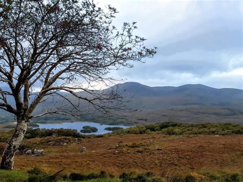 17 AWESOME Photos from The Ring of Kerry Scenic Drive - Roaming Required