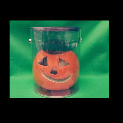 Pumpkin Science Experiment - Hands-On Teaching Ideas - Kindergarten Adventures