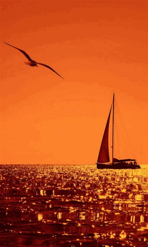 sailing GIF - Download & Share on PHONEKY