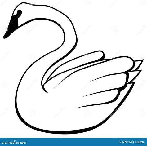 Swan Drawing stock vector. Illustration of black, vector - 127511703