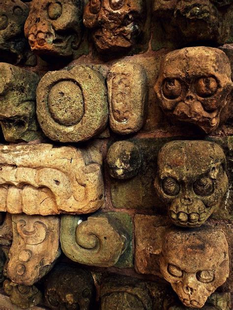 museum-of-artifacts: “ Ancient Mayan skull carvings from Copan. 5th to 9th century AD ...