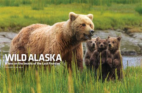 Alaska Magazine | WILD ALASKA