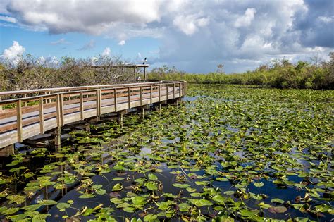 One Perfect Day in Everglades National Park | Earth Trekkers