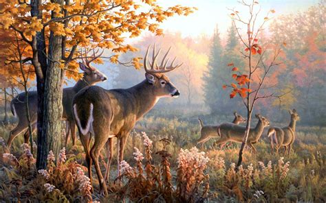 Deer Hunting Backgrounds For Computer