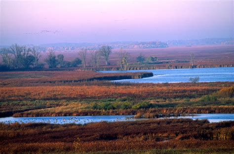 Horicon Marsh | Accent on Natural Landscaping