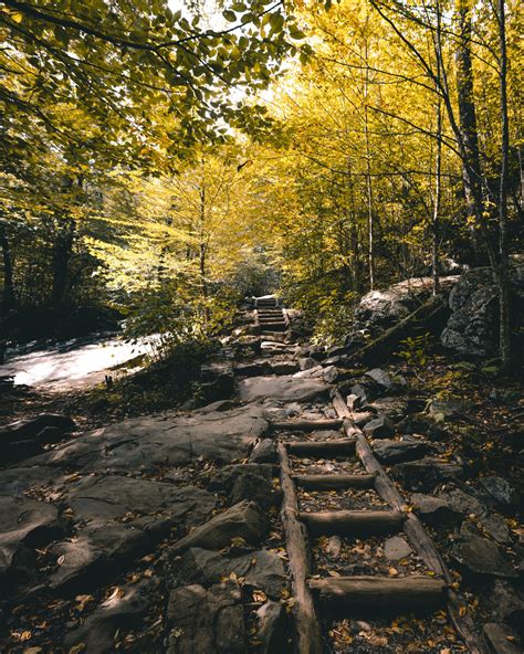 Dark Hollow Falls in Shenandoah National Park (Photos and Tips)