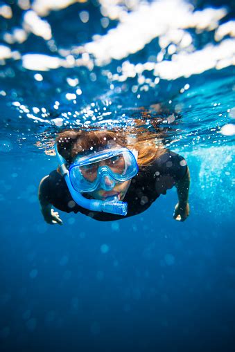 Snorkeling Stock Photo - Download Image Now - iStock