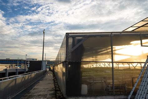 Inside Singapore’s huge bet on vertical farming | MIT Technology Review