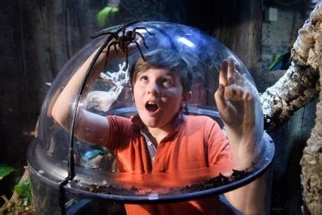 SEA LIFE London opens new Rainforest Adventure | News & Ideas | School Travel Organiser