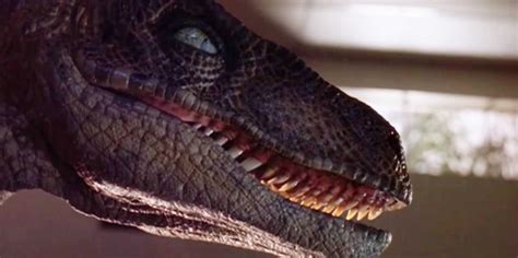 What Velociraptors are really like - Business Insider