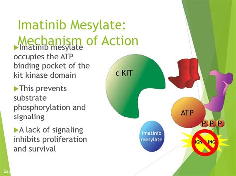 Ausblenden Ich esse Frühstück Vorhang imatinib gist mechanism ...