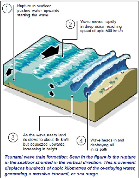 DISASTER MITIGATION AND MANAGEMENT: Natural Disasters - Tsunami: Causes, Effects and response