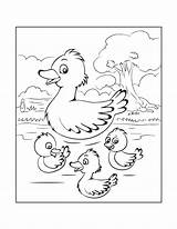 Free DUCK Coloring Pages For Download Printable PDF  VerbNow sketch template