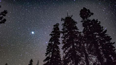 Starry sky, trees, night, stars, shine, shine | picture, photo, desktop wallpaper.