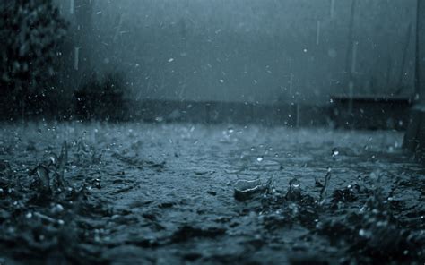 4K Rain Wallpaper - WallpaperSafari