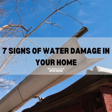 7 Signs of Water Damage in Your Home - americanguttermasters.com