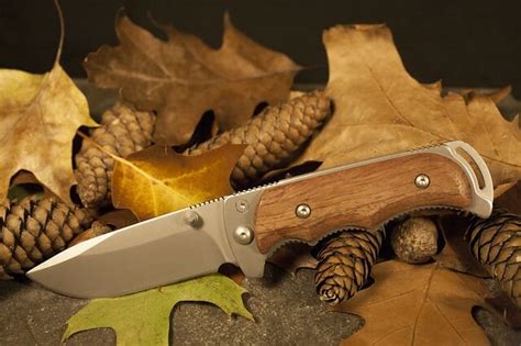 Different Types Of Hunting Knives – Average Outdoorsman