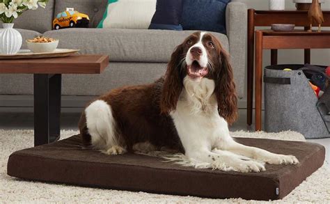 What Are The Best Dog Beds For Crates? | BARK