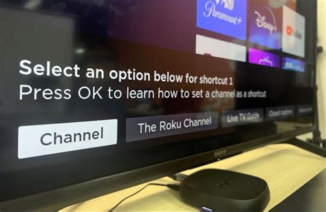 How To Reprogram Roku Remote Buttons Easily - PointerClicker.com