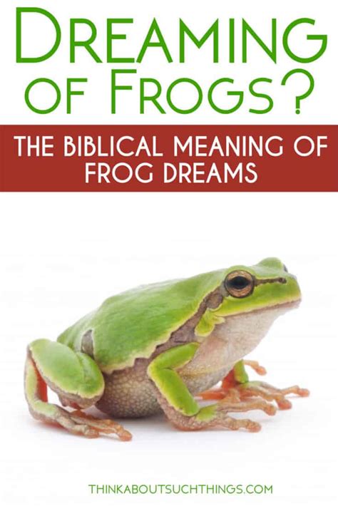 Dreams About Frogs: The Biblical Meaning Of Frog Dreams | Think About Such Things