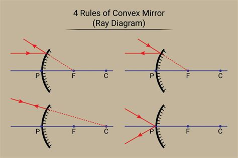 4 Rules of Convex Mirror. Ray Diagram 28175645 Vector Art at Vecteezy