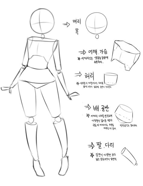 원본 이미지 | Drawing tips, Body tutorial, Body anatomy