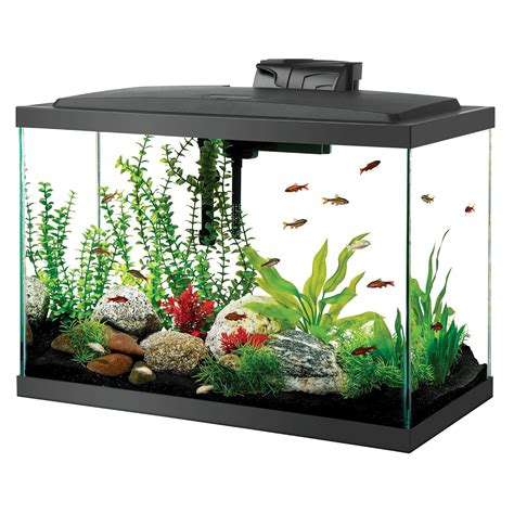 Aqueon Aquarium Reviews 2022 (read this before you spend a dime)