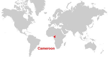 Cameroon Map and Satellite Image